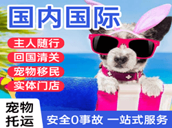 平潭航空运输国际宠物托运 【国